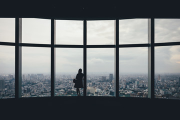 Rear view of woman looking at cityscape through window