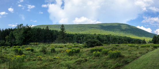 Panoramic Green Mountain and Blue sky with clouds