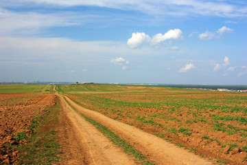 Fototapeta na wymiar Empty country road in the field