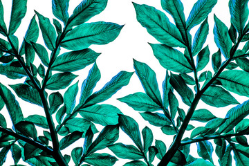 green leaf pattern on with background, dark tone