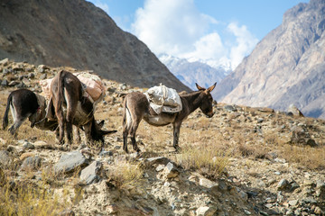 Beautiful landscape view from mountain in Pakistan - 300573105