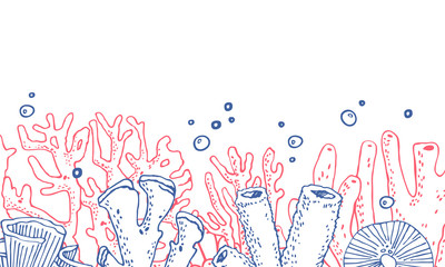 Composition with corals on the bottom of the page. Hand drawn outline vector sketch illustration