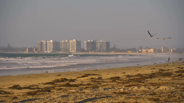Silver strand beach in Coronado Island overlooking apartment towers in the distance, Locked establishing shot