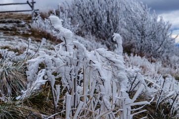 Bieszczady połonina Wetlińska szadź