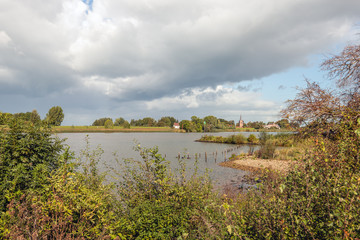 Obraz na płótnie Canvas Shrubs on the bank of the Dutch river Lek