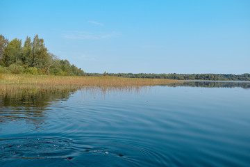 lake in the forest, Reflection of trees in the forest