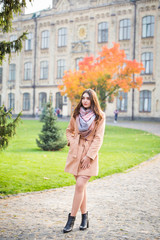 Fototapeta premium stylish woman in autumn park