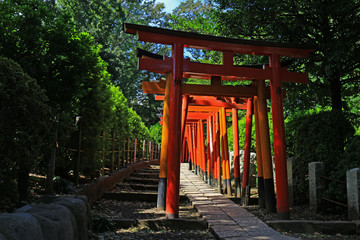 A shrine approach made up of many vibrant scarlet torii gates