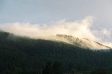 fog in the mountains