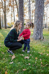 Fototapeta premium autumn walk in the park with fallen leaves