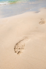 Footprints reflected on the beach
