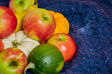 Ripe apples and small colorful pumpkins