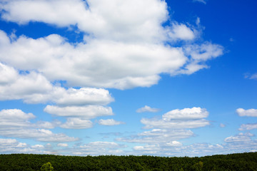 Fototapeta premium The blue sky is full of beautiful white clouds.