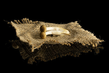 Group of two whole fresh brown buna shimeji mushroom on natural sackcloth isolated on black glass