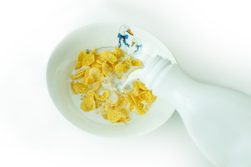 cereal with milk in a white plate for breakfast, space for text, isolate