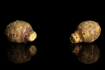 Group of two whole fresh brown jerusalem artichoke isolated on black glass