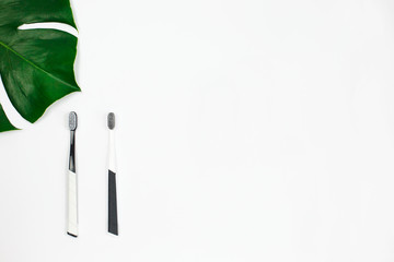 Manual toothbrush set and green leaf on white background.