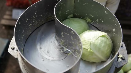 Shredding cabbage for salting. Cutting cabbage into thin slices.