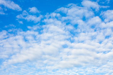 Naklejka na ściany i meble The blue sky is full of beautiful white clouds.