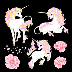 Obraz na płótnie Canvas Set of three white unicorn with multycolor mane, shine stars and rose flowers isolated on black background. Vector illustration.