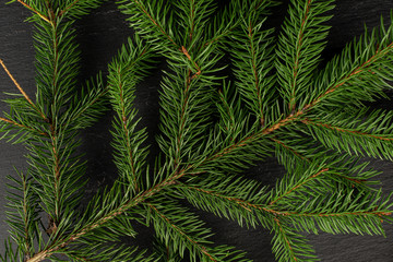 One whole christmas green branch spruce flatlay on grey stone