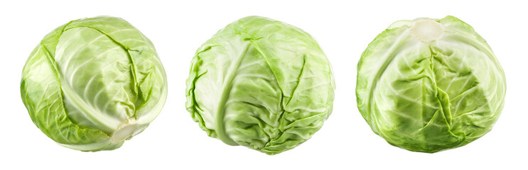 Green cabbage isolated. Cabbage on white. Set of fresh cabbages.