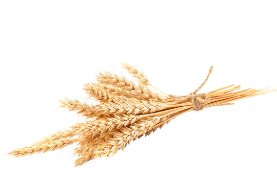 Sheaf of wheat ears isolated on a white background