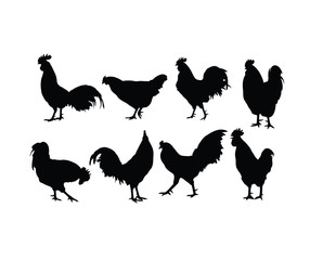 Rooster and Chicken Activity, Bird family Silhouettes, art vector design