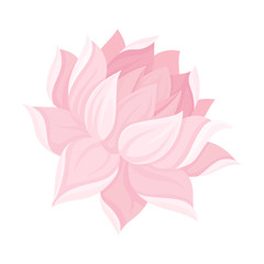 Fototapeta premium Magnificent Waterlily Flower Bud With Tender Petals Vector Illustration