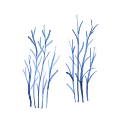 Watercolor abstract blue branches. Hand made botanical illustration. Nature elements for design and scrapbooking. Isolated on white background