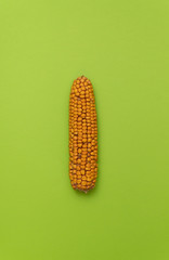Dry yellow ear of corn, cereal vegetables, isolate on green background close-up. Decoration element with copy space.