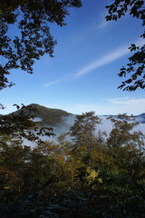 山と森林　雲海