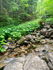 beautiful mountain landscapes climbing trekking walk tourism Zakopane Poland Slovakia Tatry
