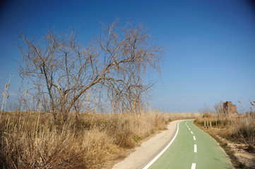 carretara delta del ebro