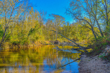 lake in autumn