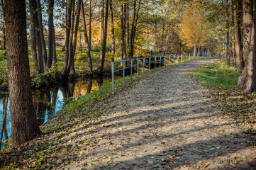Path in the autumn park along the river. Autumn landscape. Autumn trees and leaves. Fall. Riga. Latvia.