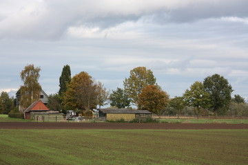 Auf dem Bauernhof