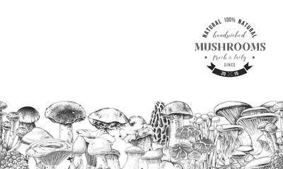 Seamless border with hand drawn edible mushrooms