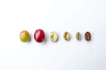 Coffee Beans