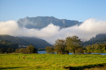 Paisaje asturiano