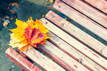 A bouquet of yellow and orange maple leaves on a bench in the park. Colorful autumnal leaves close up.