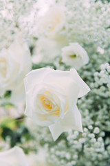 Intimate parts of the body, the atmosphere of the occasion. Wedding shoes, dress details and hands.