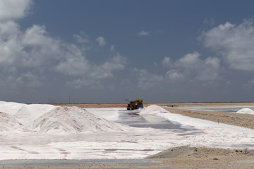 caribbean salt lake mining work Bonaire island Netherlandes Antilles