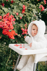 Charming baby boy sitting in high chair outdoor in the bushes with flowers.