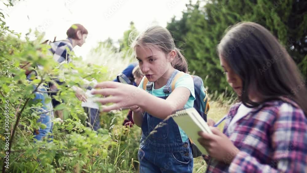 Sticker group of school children with teacher on field trip in nature, learning science.