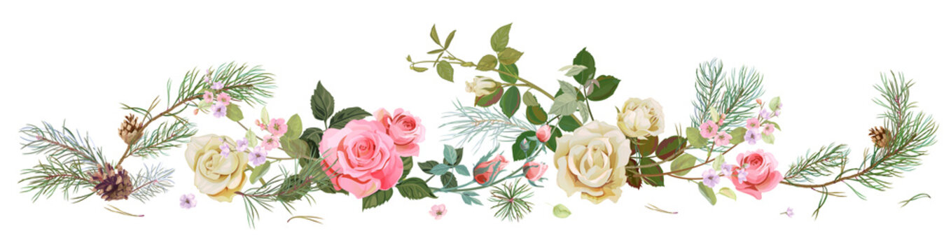 Panoramic view with white, pink roses, spring blossom, pine branches, cones. Horizontal border for Christmas: flowers, buds, leaves on white background, digital draw, watercolor style, vector