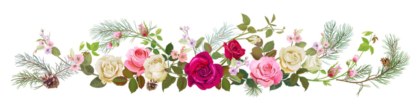 Panoramic view with white, pink, red roses, spring blossom, pine branches, cones. Horizontal border for Christmas: flowers, buds, leaves on white background, digital draw, watercolor style, vector