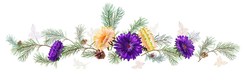 Panoramic view: white, violet chrysanthemum (golden-daisy, aster, daisy), pine branches, cones. Horizontal border for Christmas, white background. Botanical illustration, watercolor style, vector