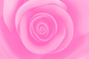 Close up image of beautiful pink rose with blur