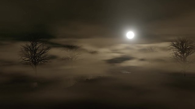 dark foggy windy landscape at night in the light of the full moon and stars with trees and ponds (seamless loop)